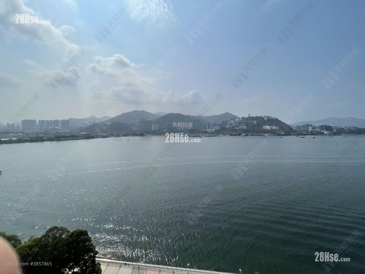 嘉華星濤灣 租盤 2 房 , 1 浴室 540 平方呎
