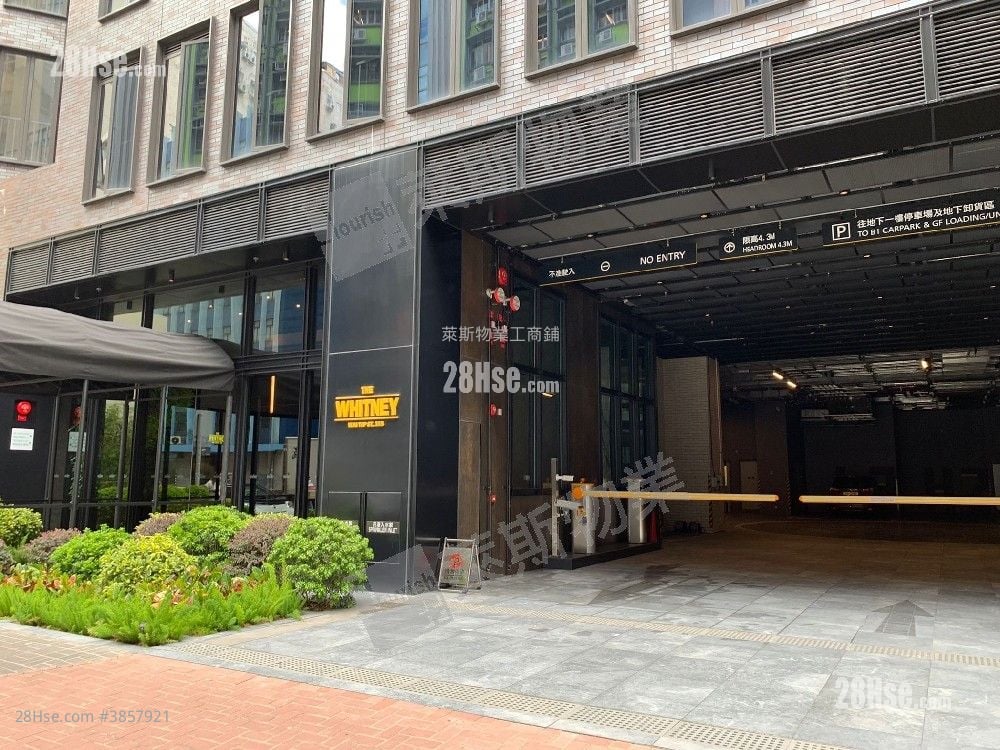 The Whitney Rental