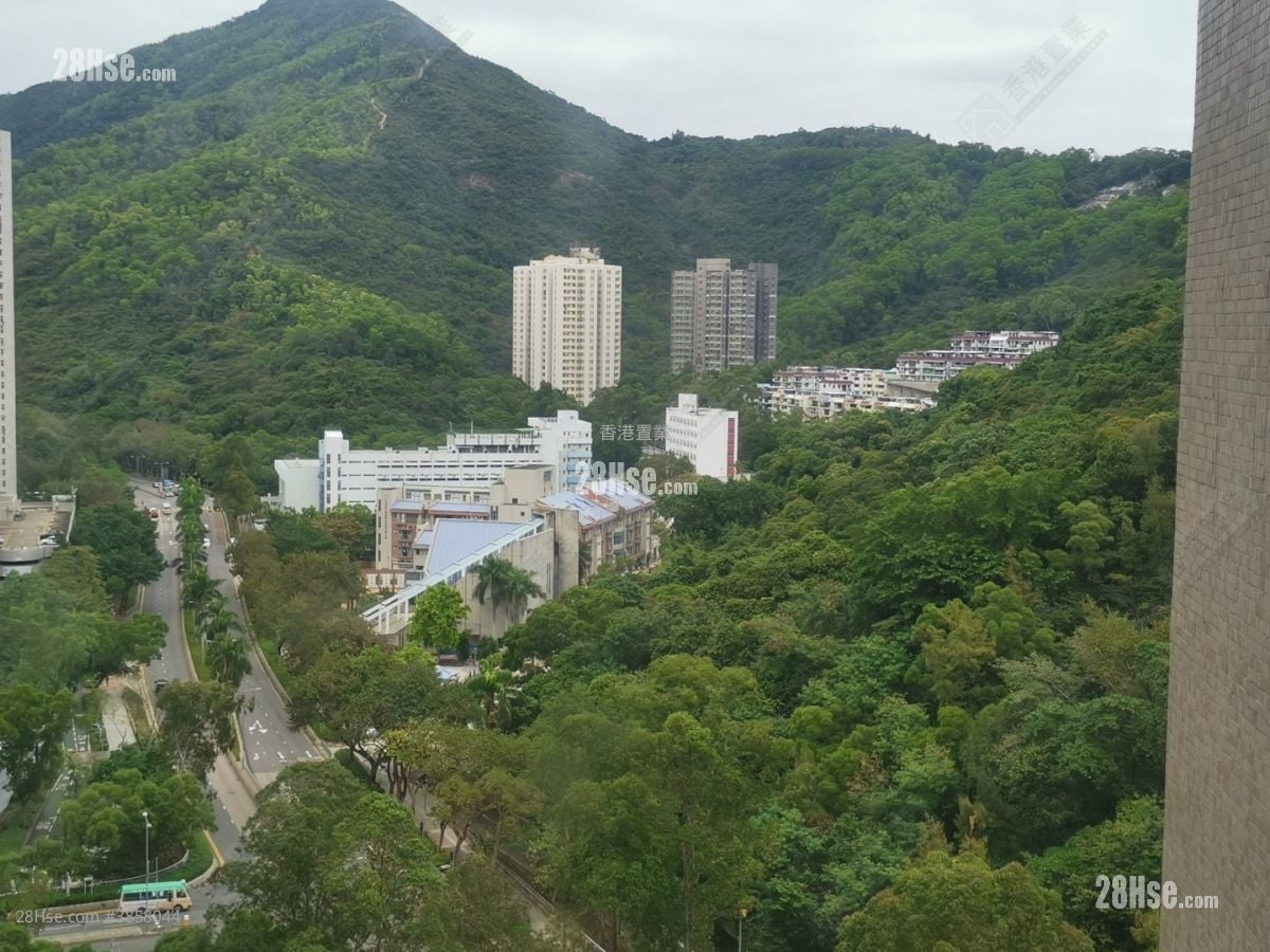 景林邨 售盤 3 房 , 1 浴室 531 平方呎