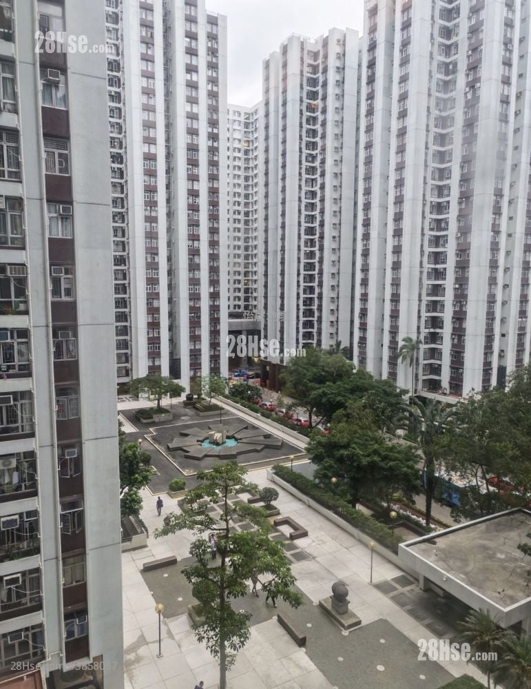 Taikoo Shing Sell 593 ft²