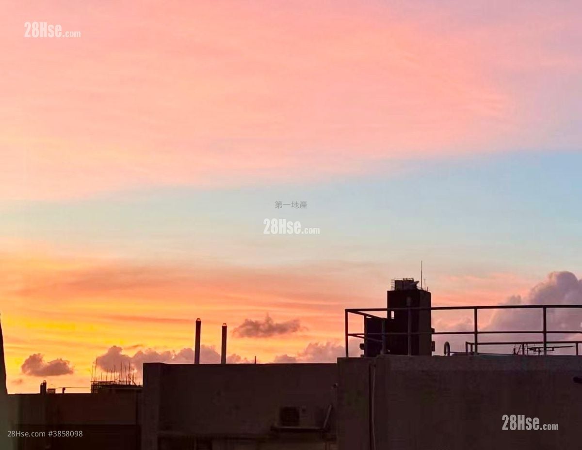 富景阁 售盘 510 平方尺