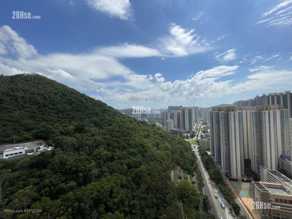 翠嶺峰 售盤 1 房 271 平方呎