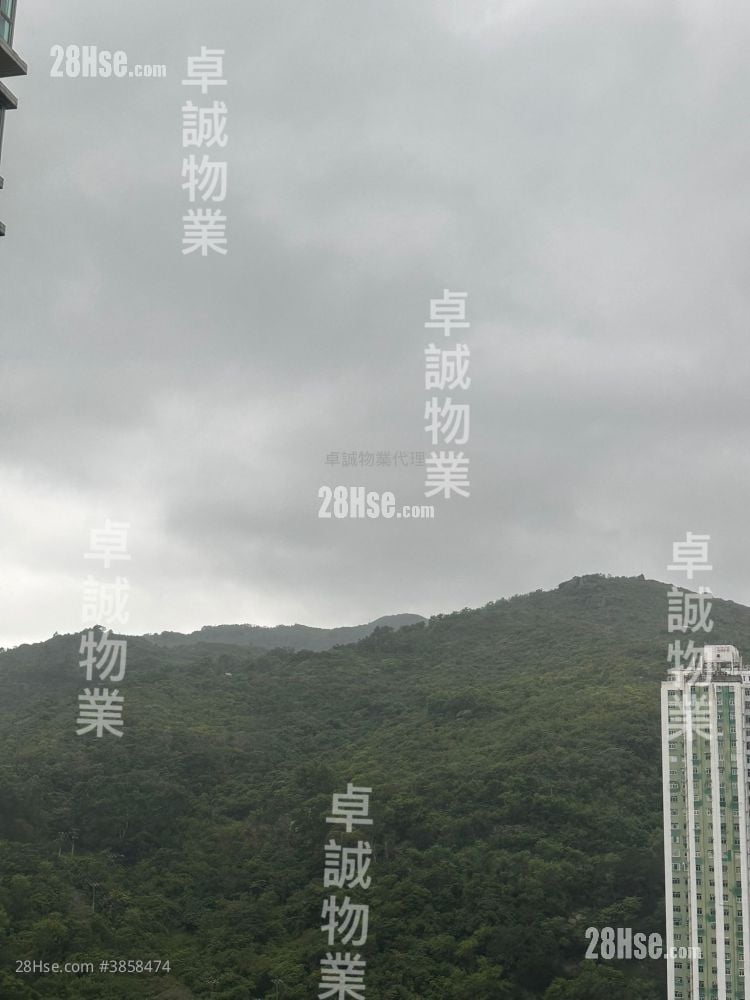 翠豐臺 售盤 2 房 , 1 浴室 441 平方呎