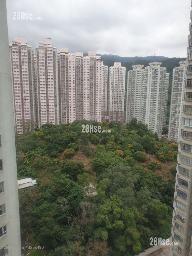荃德花園 售盤 2 房 , 1 浴室 306 平方呎