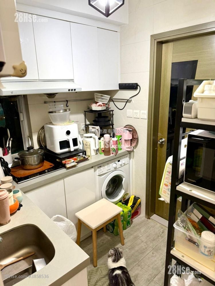 Tung Hing Building Sell 2 Bedrooms , 1 Bathroom 385 ft²
