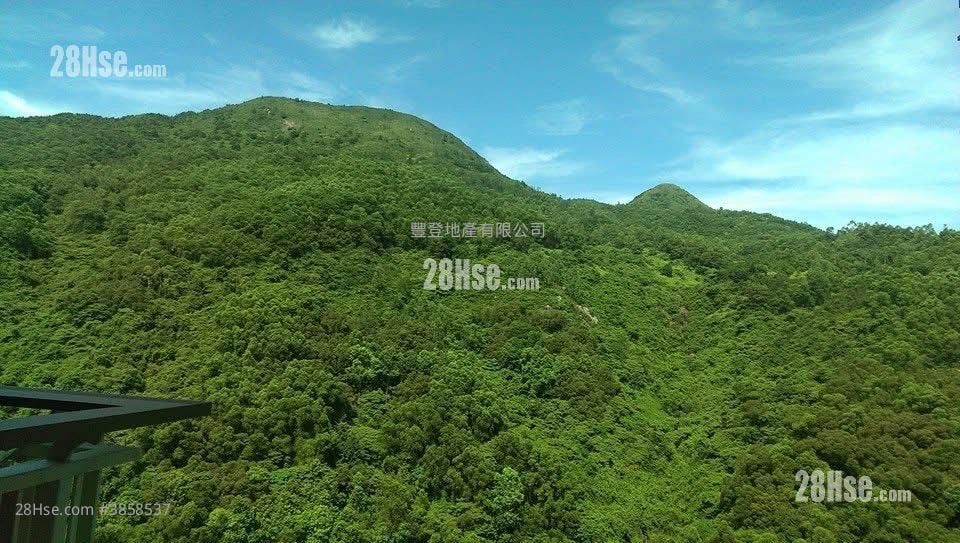 峻瀅 租盤 502 平方呎