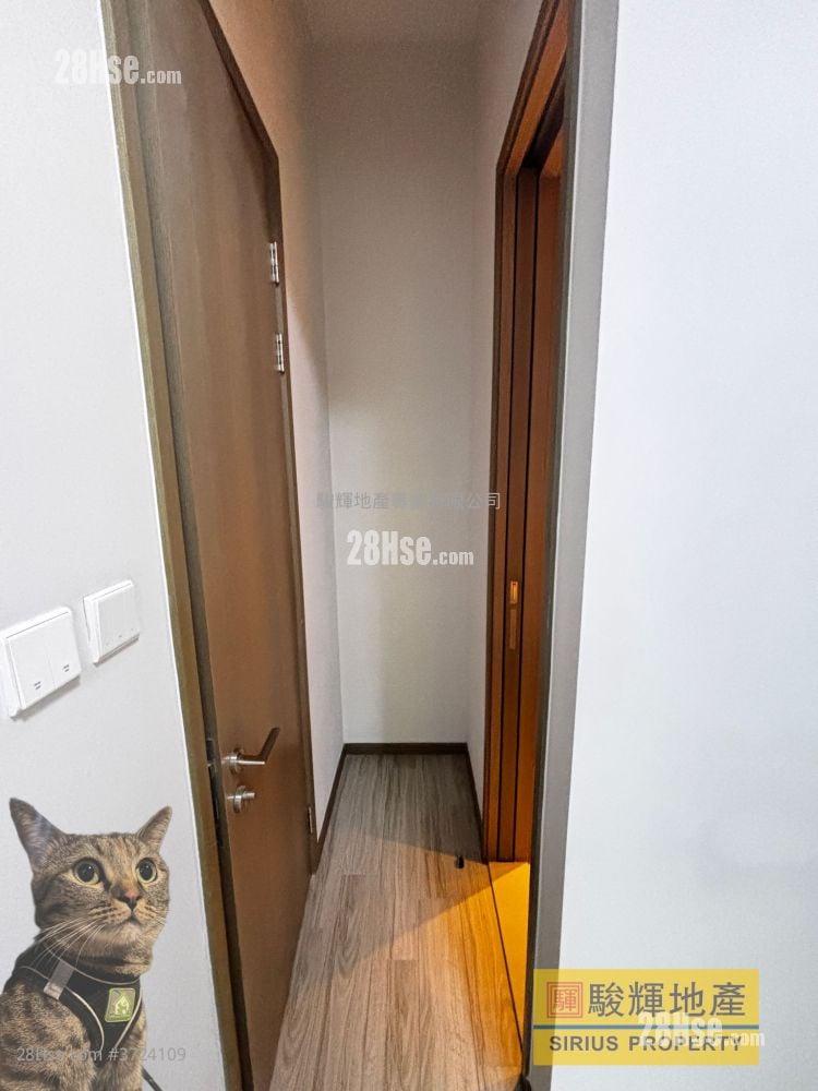 The Addition Rental 1 Bedroom , 1 Bathroom 277 ft²