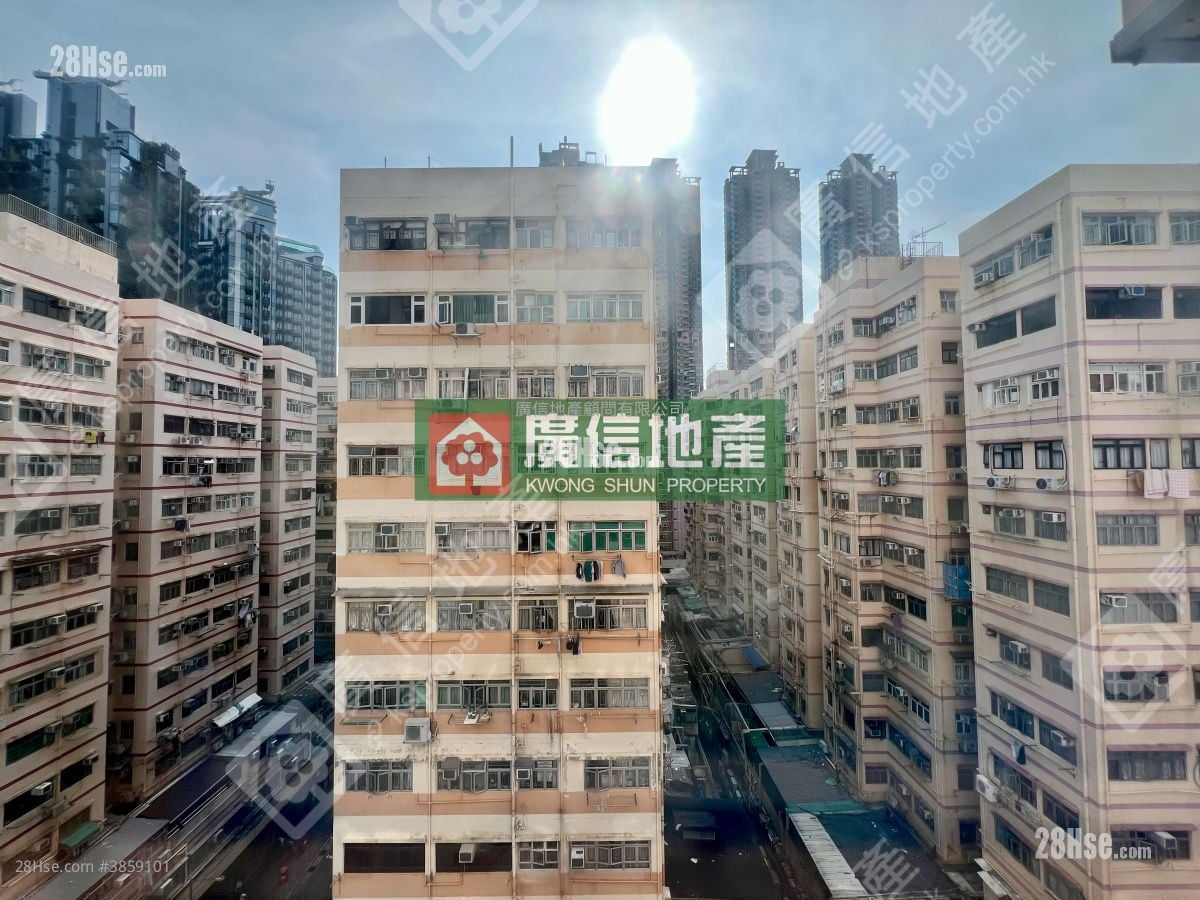 大同新村 租盤 2 房 , 1 浴室 325 平方呎