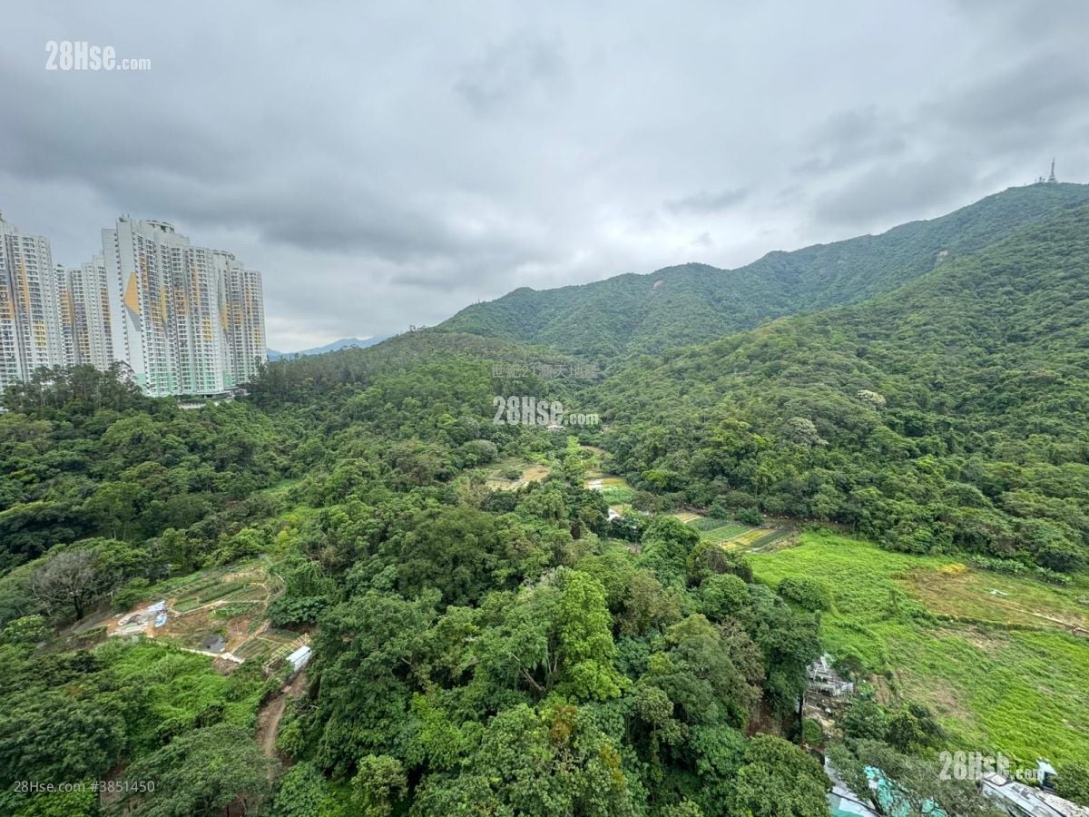 嵐山 租盤 3 房 , 2 浴室 750 平方呎