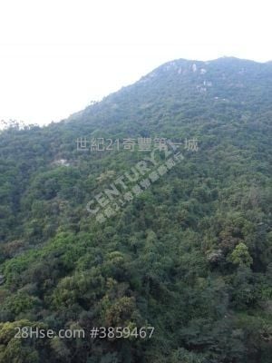 帝堡城 售盤 836 平方呎