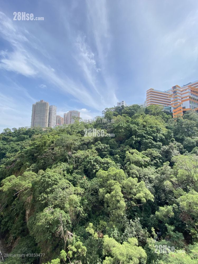 Lime Habitat Sell 1 Bedroom , 1 Bathroom 376 ft²