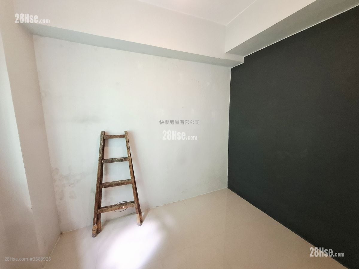 8 Elgin St Rental 2 Bedrooms , 1 Bathroom 463 ft²