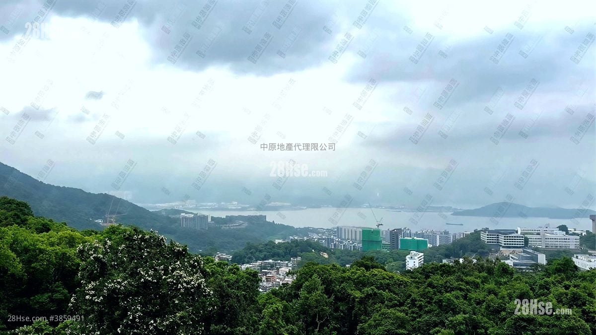 澐灃 售盤 3 房 , 5+ 浴室 2,172 平方呎