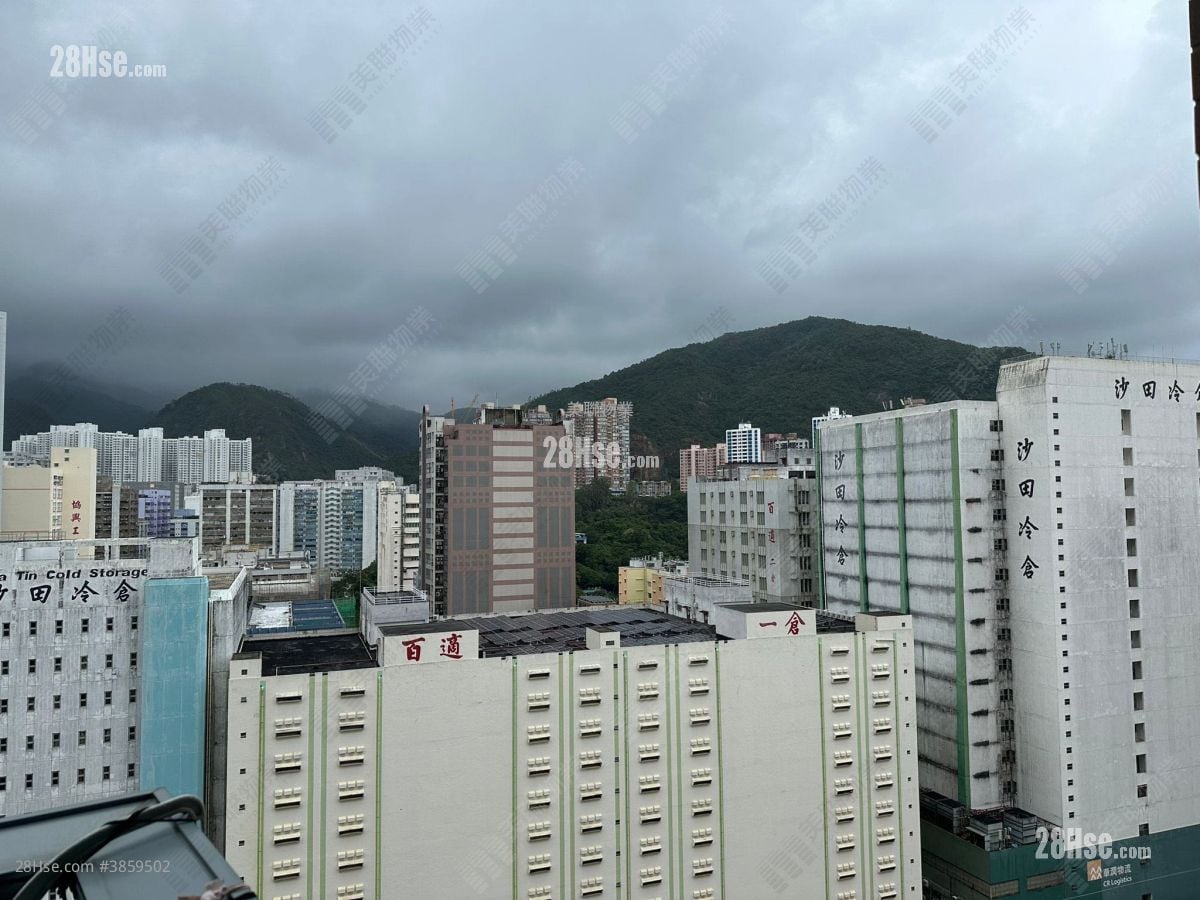 御龍山 租盤 3 房 , 3 浴室 793 平方呎