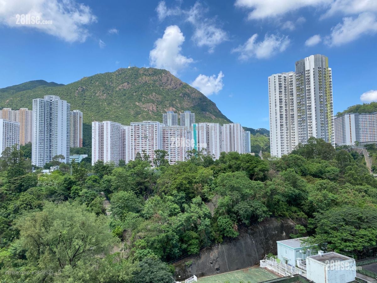 泰峯 租盤 1 房 , 1 浴室 373 平方呎