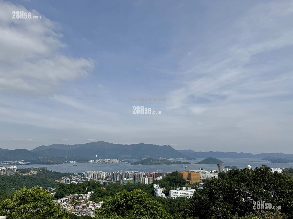 雲端 售盤 4 房 3,749 平方呎