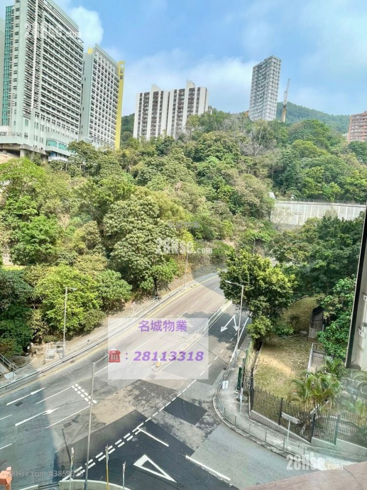 寶德大廈 售盤 1 房 , 1 浴室 315 平方呎