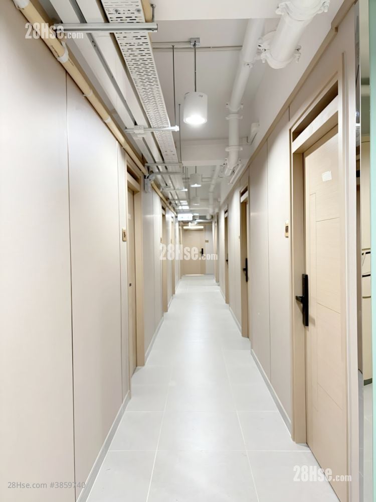 香港仔工業大廈 租盤 5+ 房