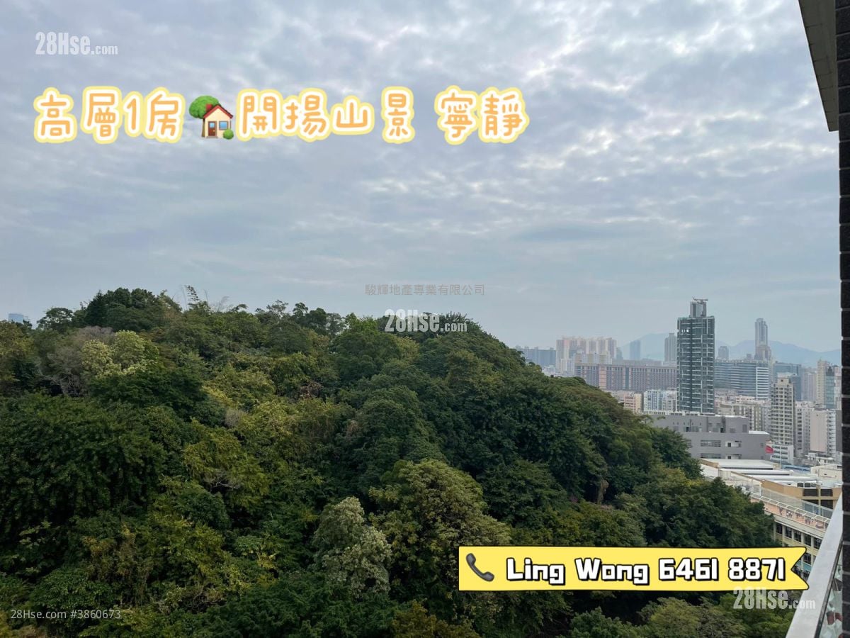 景怡峰 租盤 1 房 , 1 浴室 270 平方呎