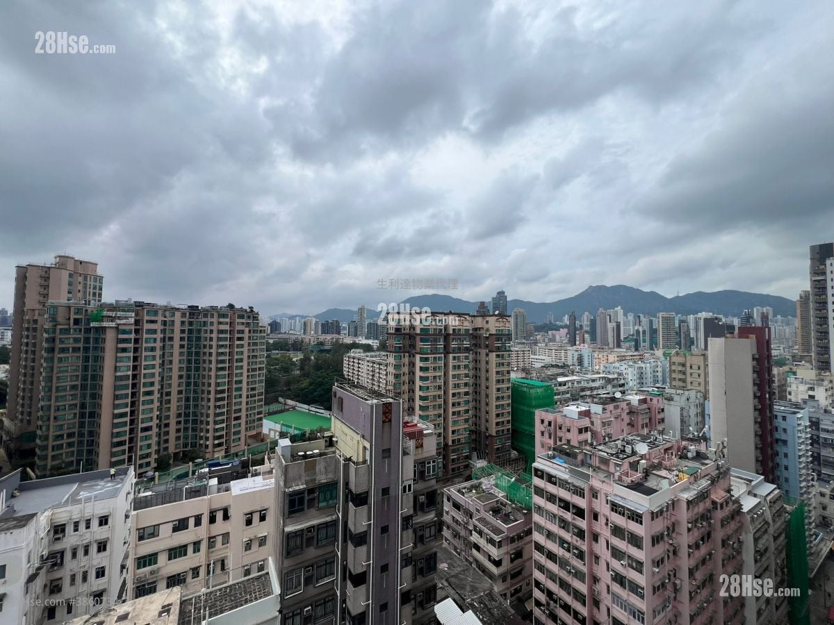 Downtown 38 租盤 1 房 , 1 浴室 304 平方呎