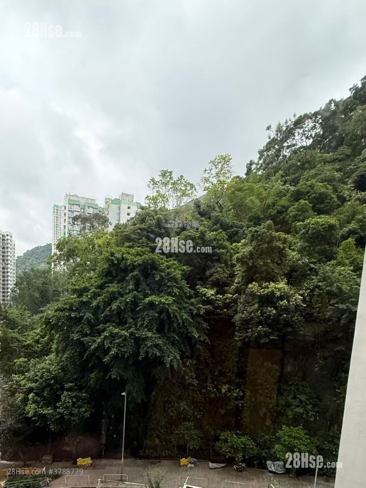 Sun Sing Centre Rental 1 Bedroom , 1 Bathroom 297 ft²