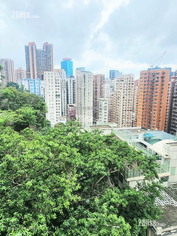 Lime Habitat Rental 1 Bedroom , 1 Bathroom 344 ft²