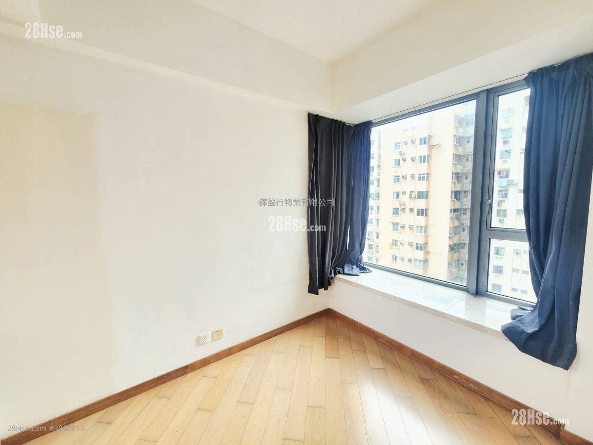 Lime Habitat Rental 1 Bedroom , 1 Bathroom 344 ft²