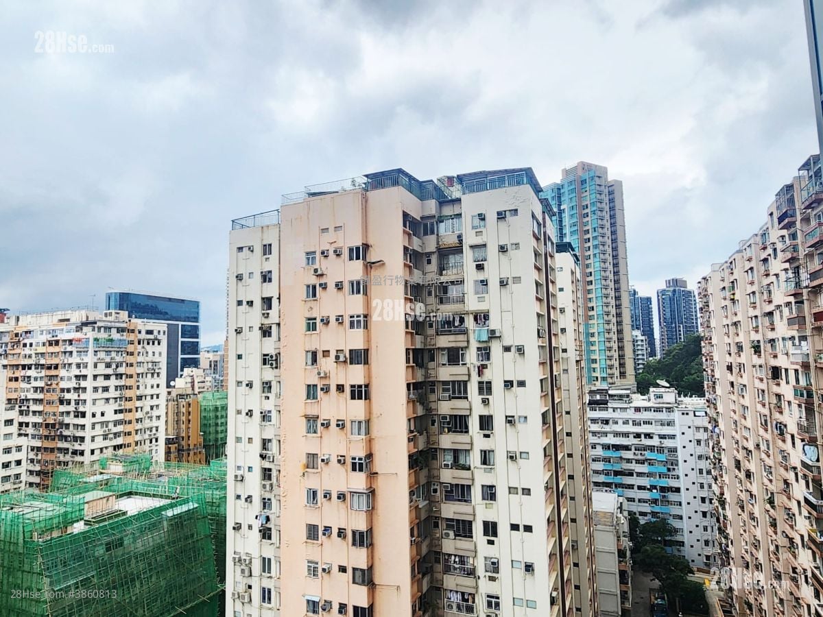 Lime Habitat Rental 1 Bedroom , 1 Bathroom 344 ft²