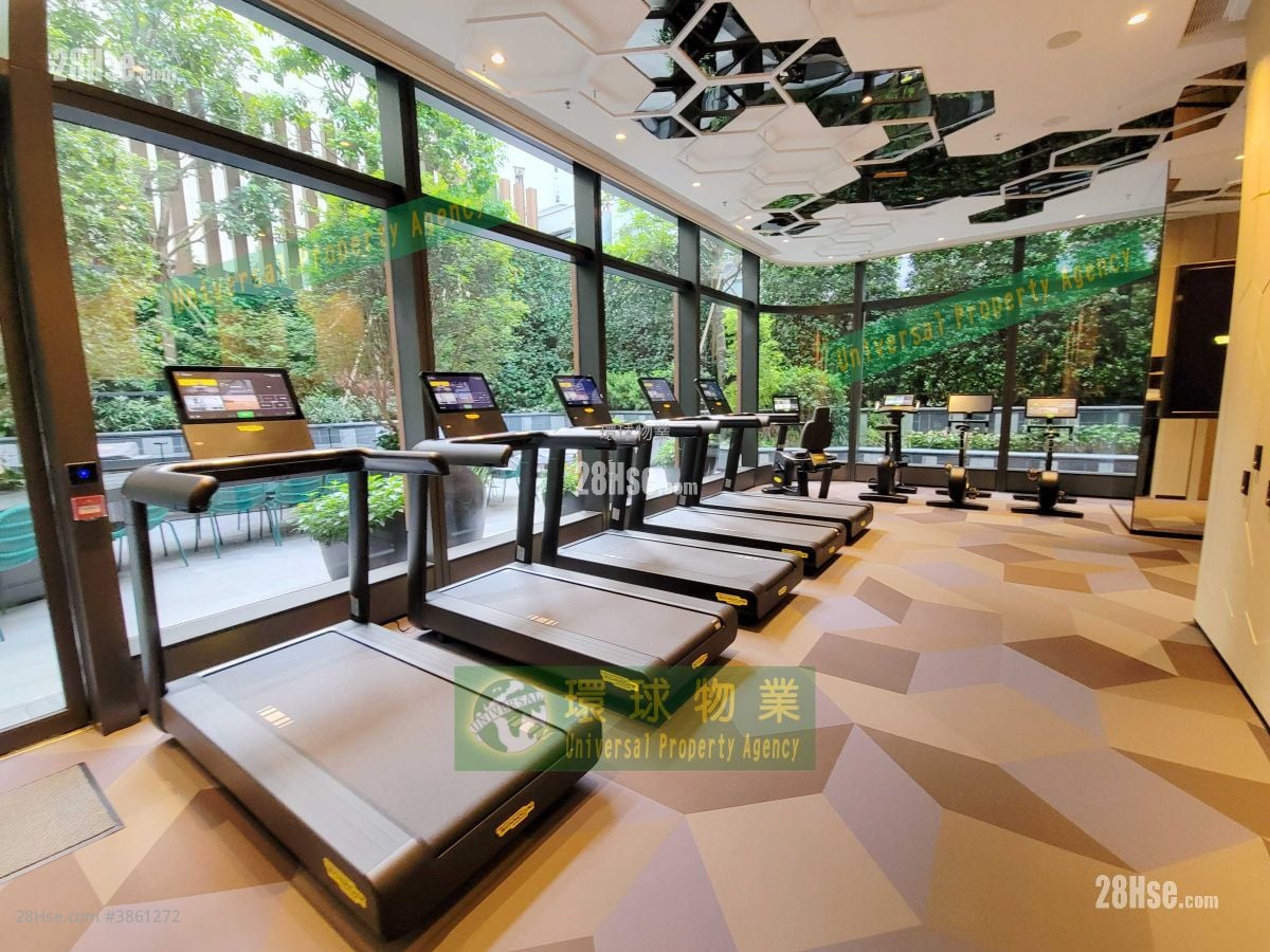 Kennedy 38 Rental 1 Bedroom , 1 Bathroom 301 ft²