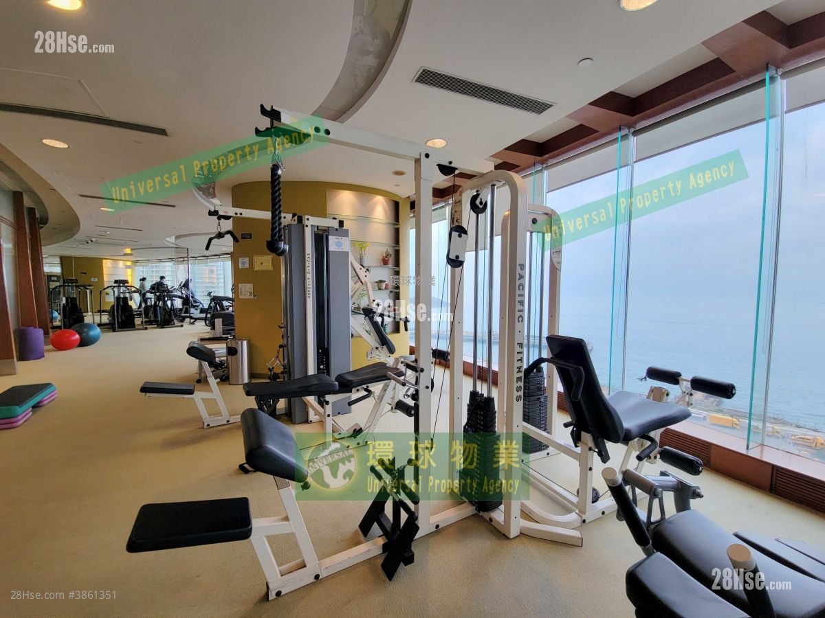 Cayman Rise Rental 2 Bedrooms , 1 Bathroom 523 ft²