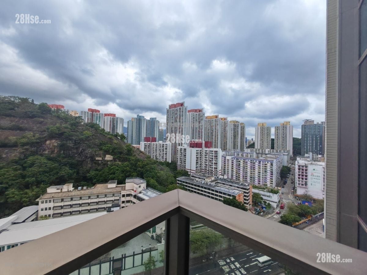 Madison Park Rental 1 Bedroom , 1 Bathroom 302 ft²