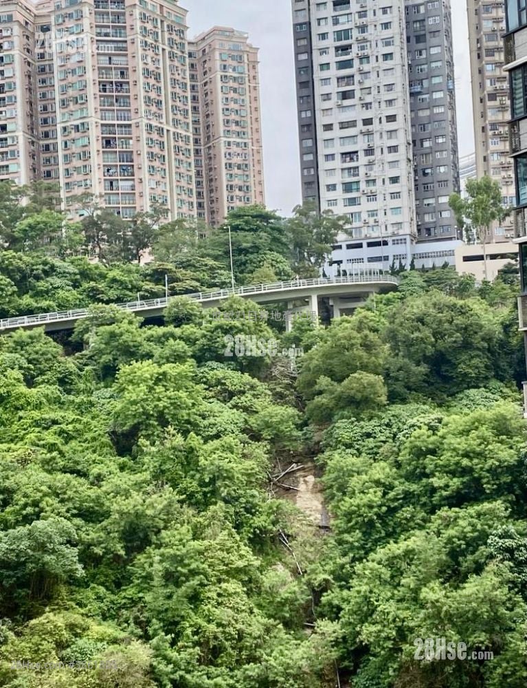 百福花園 售盤 547 平方呎