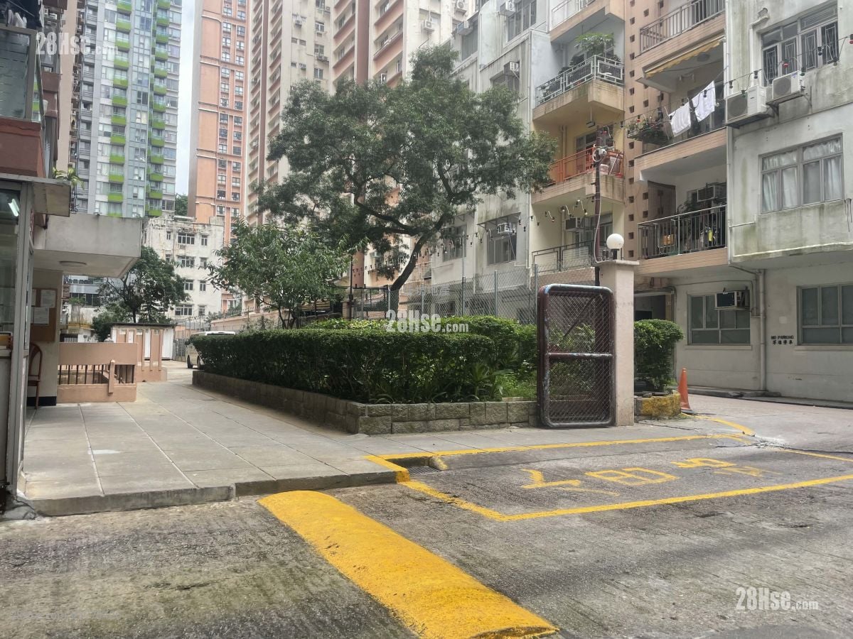 明园 租盘