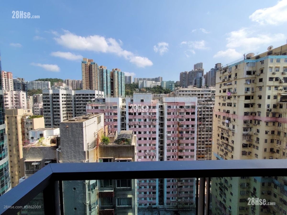 Novum Point Rental 1 Bedroom , 1 Bathroom 257 ft²