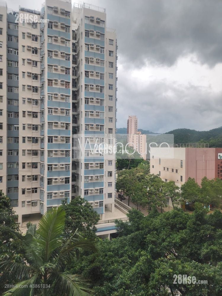 Jade Plaza Rental 1 Bedroom , 1 Bathroom 262 ft²