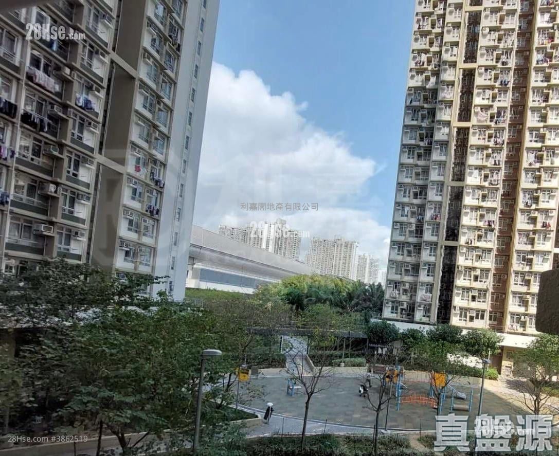 屏欣苑 售盘 1 房 376 平方尺
