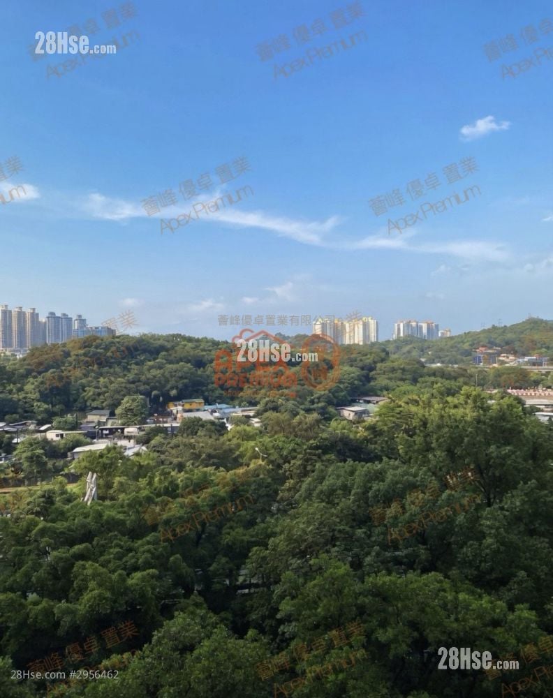 碧湖花园 租盘 3 房 , 1 浴室 489 平方尺