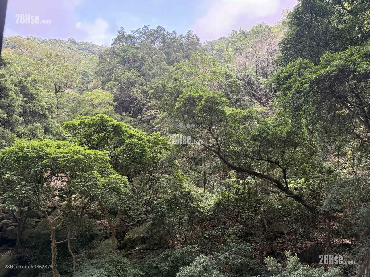 柏傲山 租盤 2 房 , 1 浴室 597 平方呎