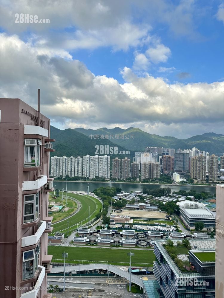平台景观