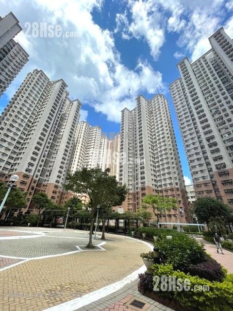 富欣花園 售盤 2 房 484 平方呎