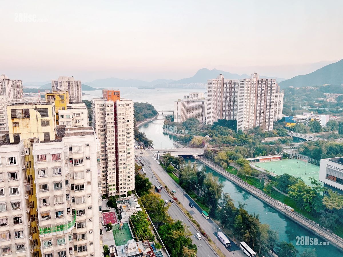 Tai Po Centre Sell 299 ft²