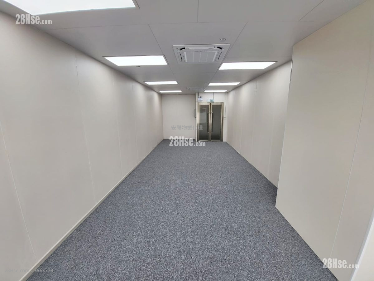 Ceo Tower Rental