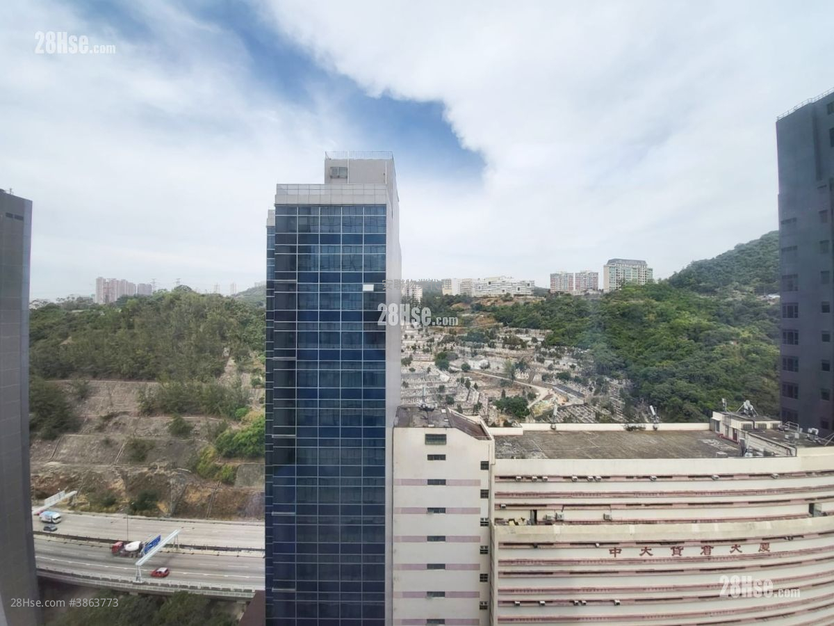 Ceo Tower Rental
