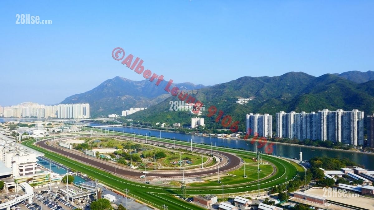 Pictorial Garden Sell 3 Bedrooms , 2 Bathrooms 732 ft²