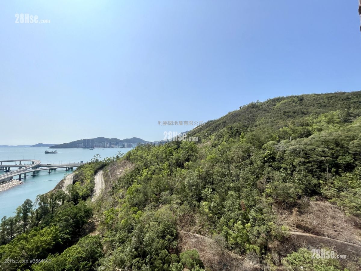 维景湾畔 租盘 2 房 , 1 浴室 504 平方尺