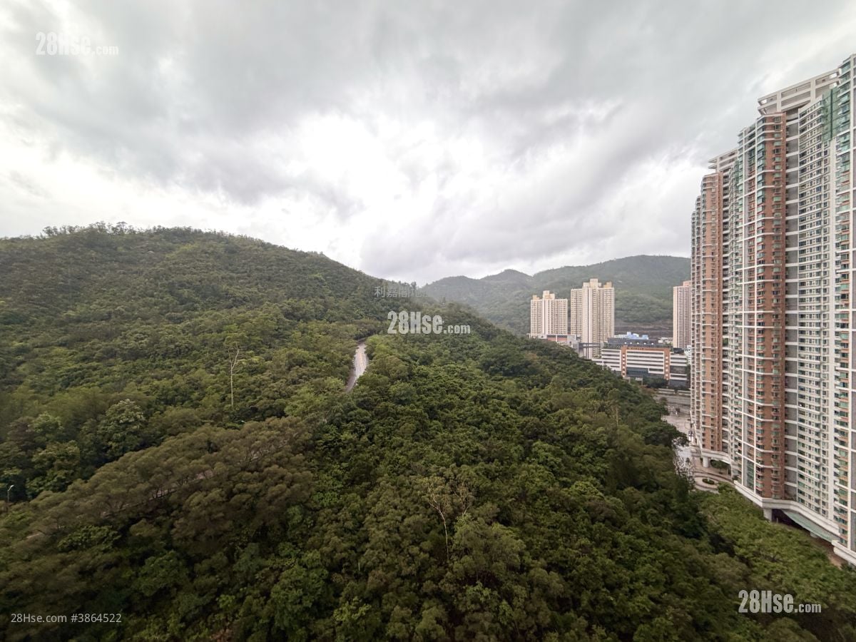 維景灣畔 租盤 2 房 , 1 浴室 512 平方呎