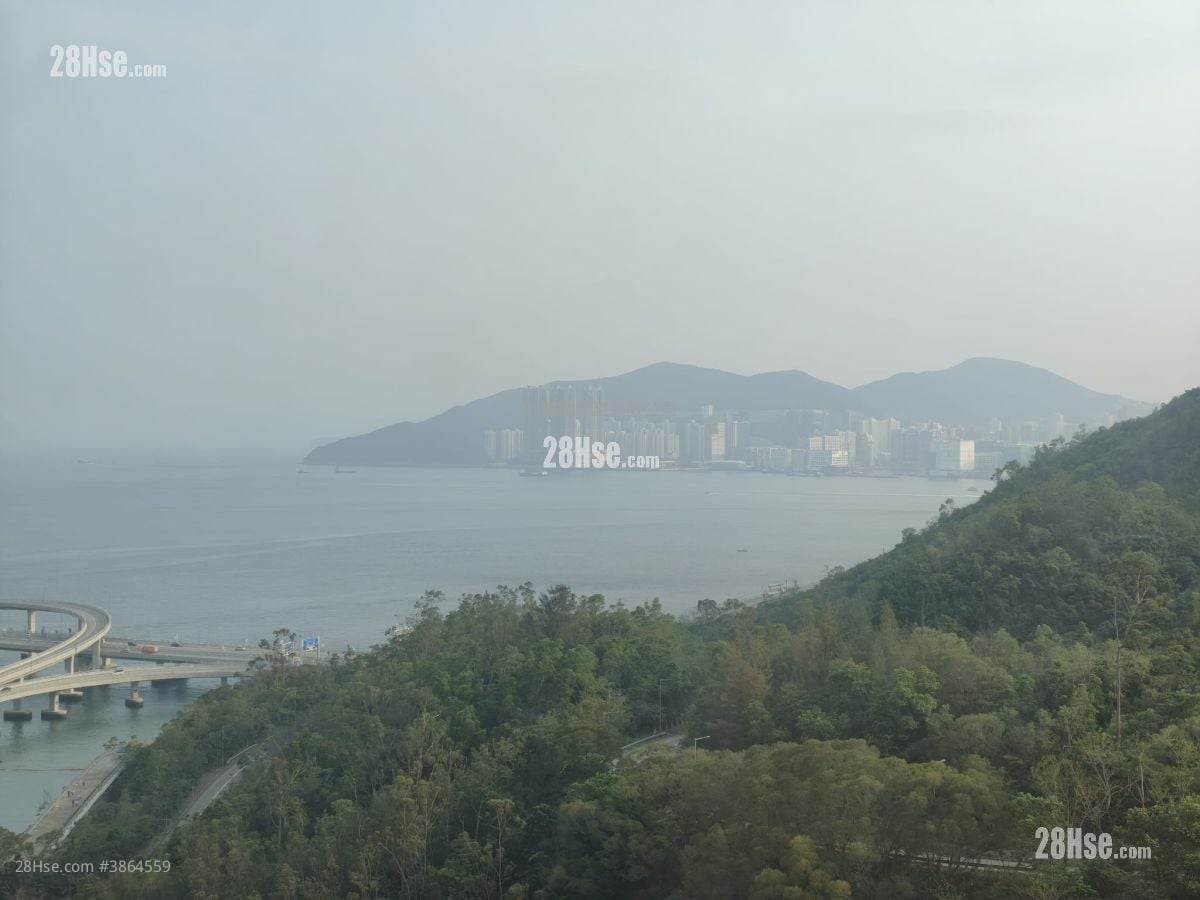 維景灣畔 租盤 2 房 , 1 浴室 496 平方呎