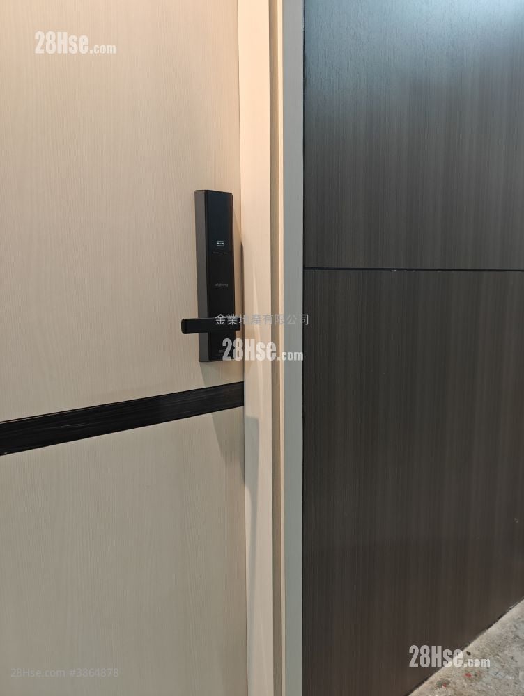 New Lucky House Rental 1 Bedroom , 1 Bathroom 578 ft²