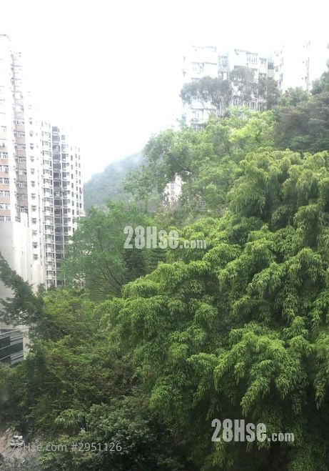 新成中心 租盘 1 房 , 1 浴室 297 平方尺