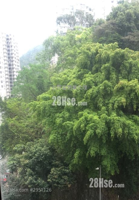 新成中心 租盘 1 房 , 1 浴室 297 平方尺